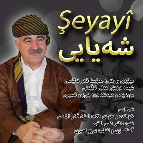قادر الیاسی شه یایی